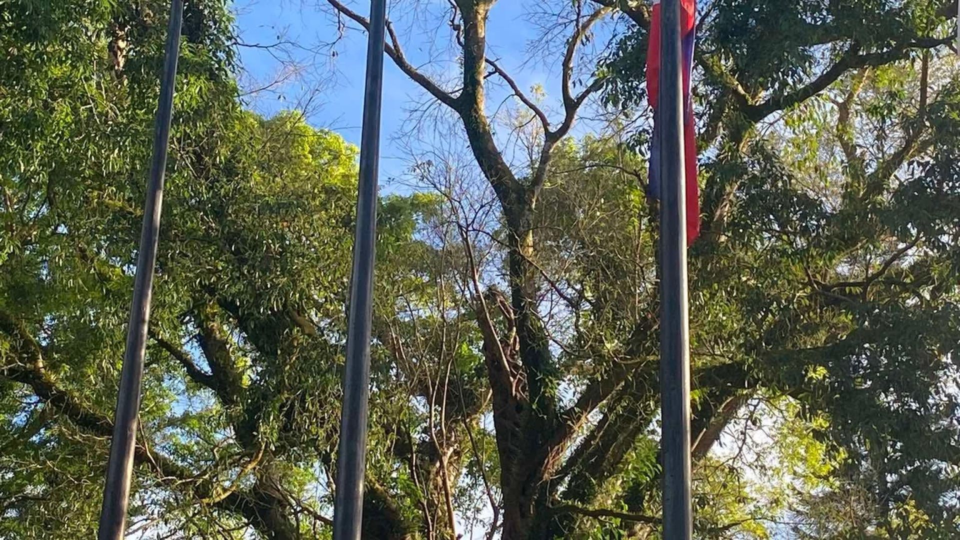 UN@80: Building the Future Together — A Month of  Peace, Partnership, and Purpose